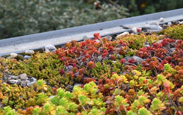 the cost of Little Marsden green roof installation