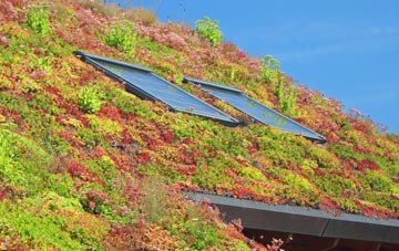 Little Marsden living roof systems