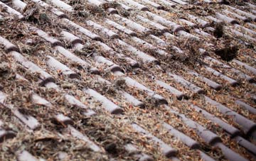 Little Marsden roof cleaning companies