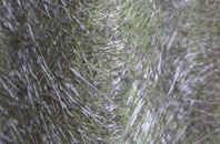 Little Marsden fibreglass roof work